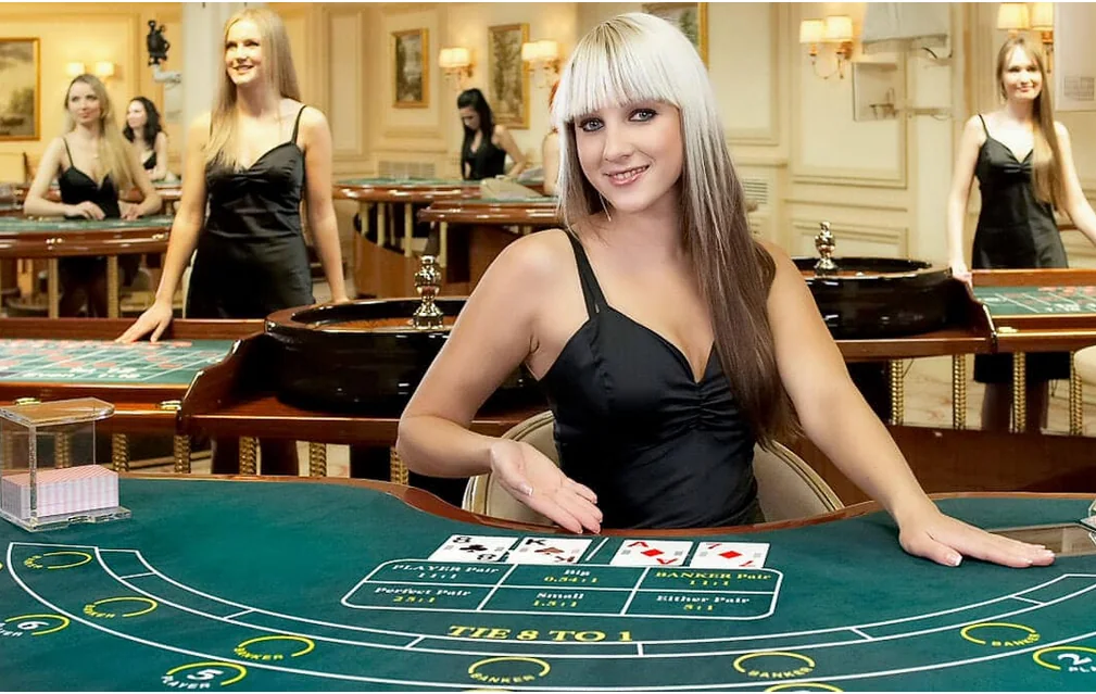 Dealer di meja permainan kasino live